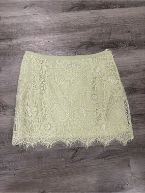 These Three Boutique Lace Skirt